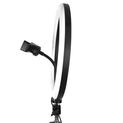 LED Ring Light 26CM – RGB Dimmable Ring Light with Phone Holder & Remote | Ideal for YouTube, TikTok & Live Streaming